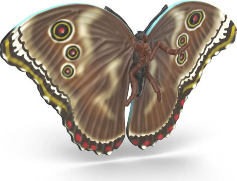 Schleich Insect Discovery Set #42741 - Butterfly Belly View