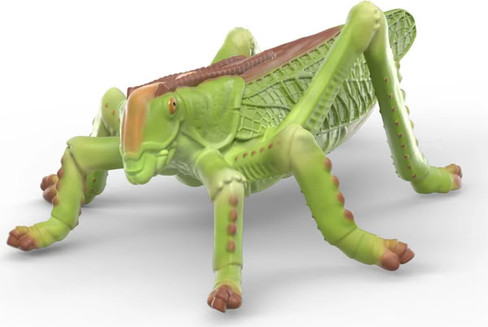 Schleich Insect Discovery Set #42741 - Grasshopper View