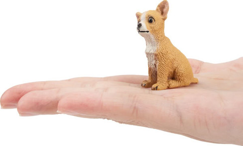 Toymany Fawn Chihuahua Puppy - Sitting #00154 - On Hand