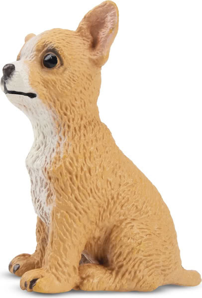 Toymany Fawn Chihuahua Puppy - Sitting #00154 - Left View