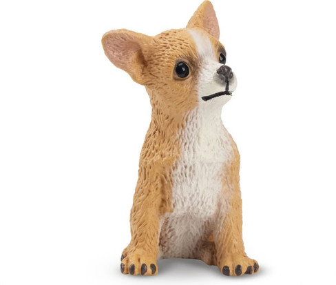 Toymany Fawn Chihuahua Puppy - Sitting #00154 - Front View