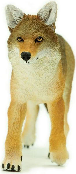 Safari Ltd. Coyote #113089 - Front View
