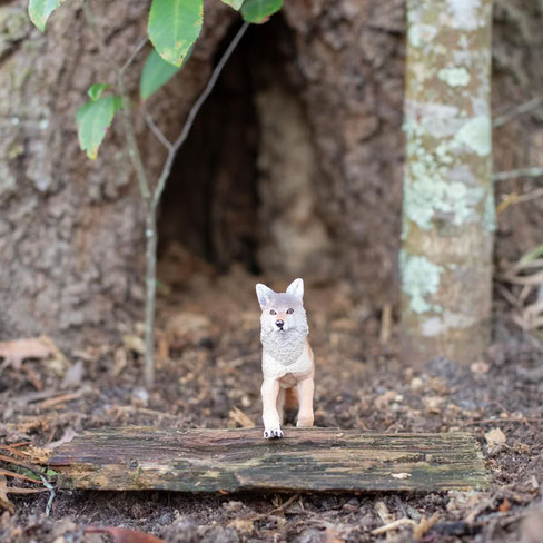 Safari Ltd. Coyote #113089 - In Nature