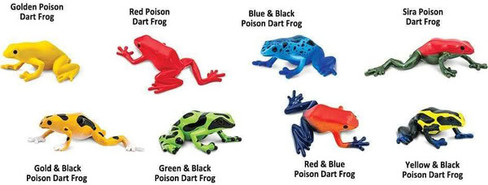 Safari Ltd. Poison Dart Frog TOOB #100121 - Frog Collection with Labels