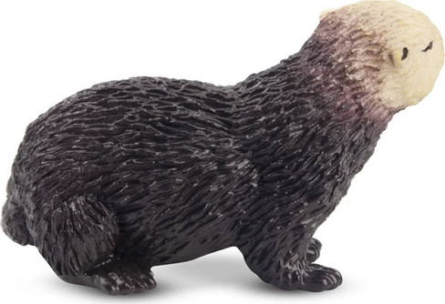 Toymany Sea Otter #00240 - Right View
