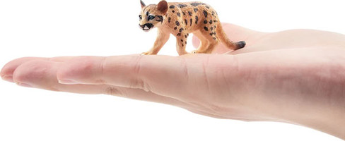 Toymany Mountain Lion Cub #00332 - On Hand