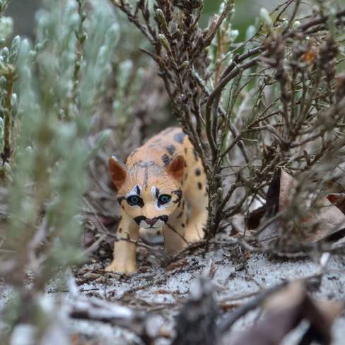Toymany Mountain Lion Cub #00332 - In Nature