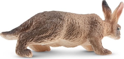 Toymany Belgian Hare #00371 - Right Rear View