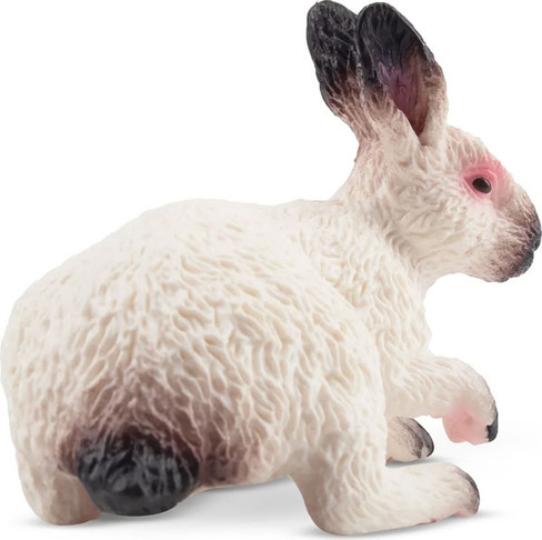 Toymany Californian Rabbit #00374 - Right View