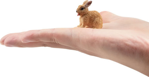 Toymany Netherland Dwarf Rabbit #00376 - On Hand