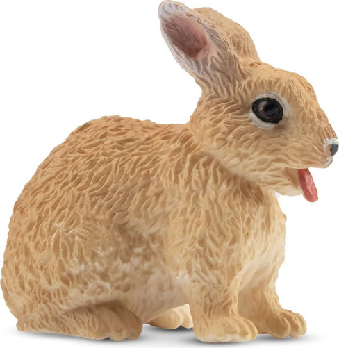 Toymany Netherland Dwarf Rabbit #00376 - Right View
