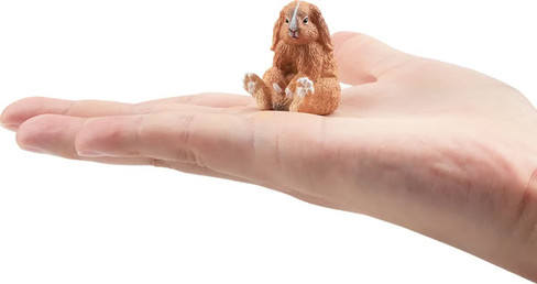 Toymany French Lop #00382 - On Hand