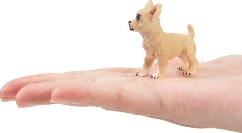 Toymany Fawn Chihuahua Puppy - Standing #00155 - On Hand
