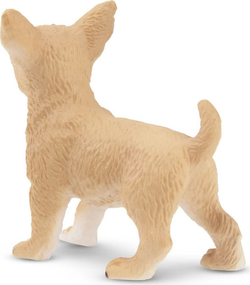 Toymany Fawn Chihuahua Puppy - Standing #00155 - Left Rear View