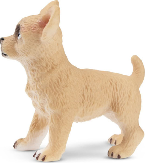 Toymany Fawn Chihuahua Puppy - Standing #00155 - Left View