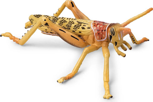 Toymany Desert Locust #00501 - Left Front View