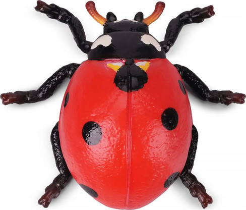 Toymany Seven-Spotted Ladybug #00503 - Top View
