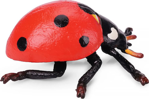 Toymany Seven-Spotted Ladybug #00503 - Right View