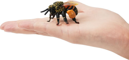 Toymany Honeybee #00504 - On Hand