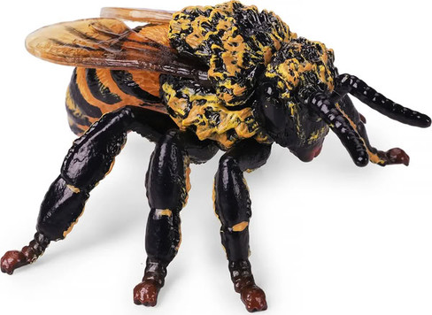 Toymany Honeybee #00504 - Right Front View