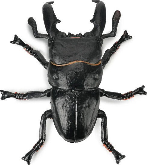 Toymany Giant Stag Beetle #00496 - Top View