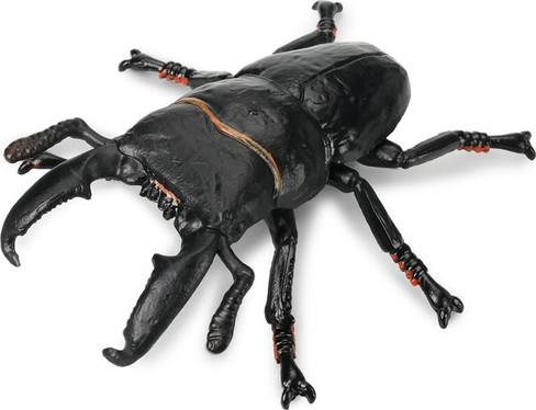 Toymany Giant Stag Beetle #00496 - Main Picture