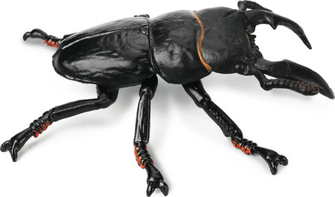 Toymany Giant Stag Beetle #00496 - Right View