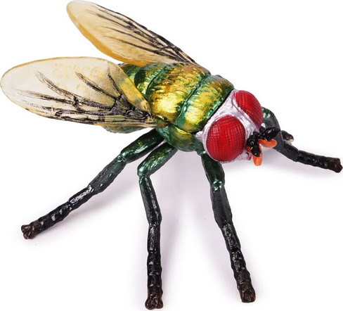 Toymany Green Bottle Fly #00506 - Right Front View