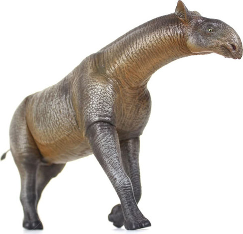 Haolonggood Paraceratherium #189 - Right Front View