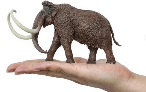 Haolonggood Mammuthus Primigenius - Reddish Brown #007-A - On Hand