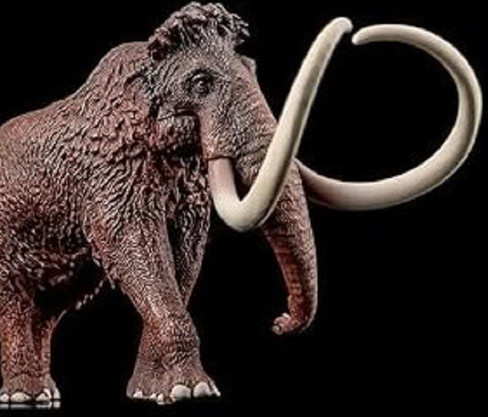 Haolonggood Mammuthus Primigenius - Reddish Brown #007-A - Right Front View