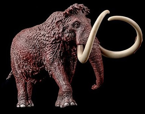 Haolonggood Mammuthus Primigenius - Yellowish Brown #007-B - Right Front View on Black