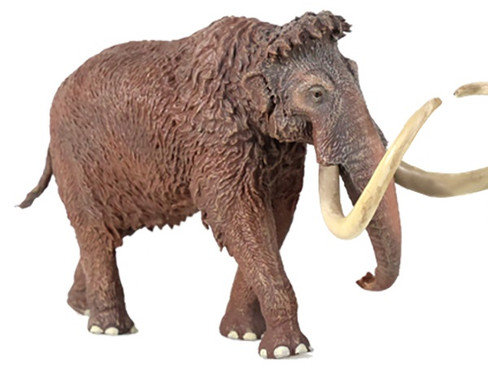 Haolonggood Mammuthus Primigenius - Yellowish Brown #007-B - Main Picture