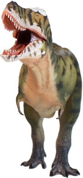 Haolonggood Tarbosaurus - Wu Tian Xi #189-A - Front View Closer