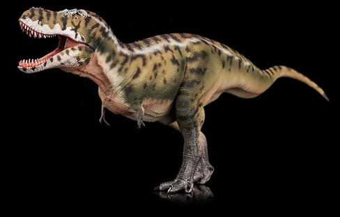 Haolonggood Tarbosaurus - Wu Tian Xi #189-A - Left View in Nature