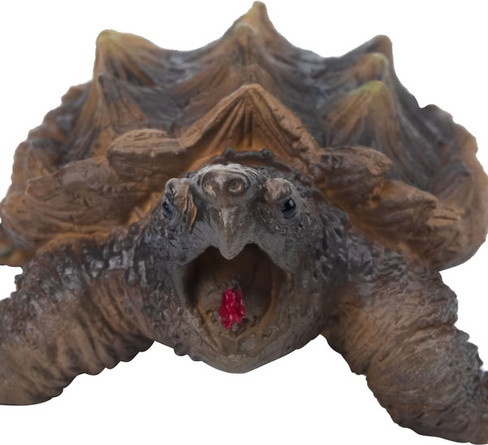 Toymany Alligator Snapping Turtle - Mini #00396 - Front View