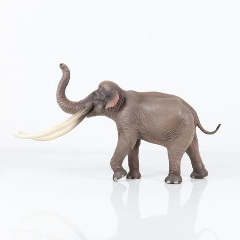 Haolonggood Palaeoloxodon - B #002-B - Left View