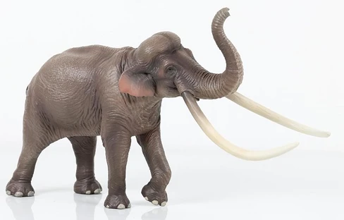 Haolonggood Palaeoloxodon - B #002-B - Right Front View