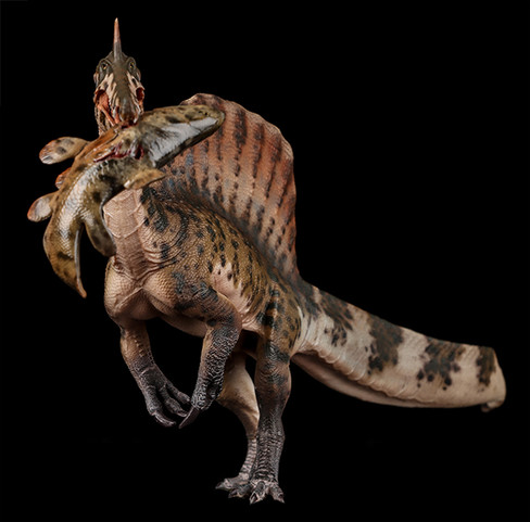 Haolonggood Spinosaurus mirabilis - Heterochromatic Version #190-C - Front View with Fish on Black