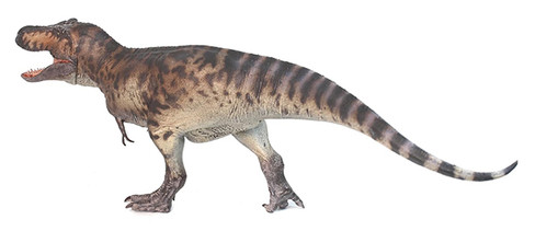 Haolonggood Tyrannosaurus Rex - Li Yuan Ba #191-A -Rear Side View