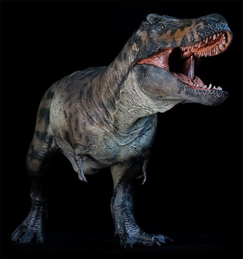 Haolonggood Tyrannosaurus Rex - Li Yuan Ba #191-A - Side Head View