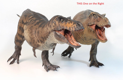 Tyrannosaurus Rex - Yu Wen Cheng Du 191B - Brown Version - Color Comparison