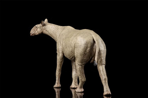 EoFauna Paraceratherium Grangeri #014 - Left Rear View