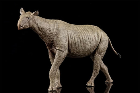 EoFauna Paraceratherium Grangeri #014 - Left View