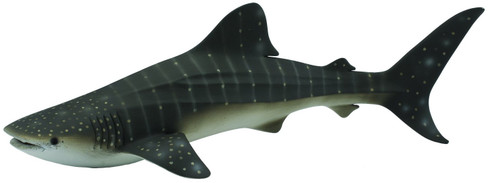 Shark - Whale (CollectA)