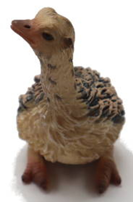 Ostrich Chick - Sitting (CollectA)