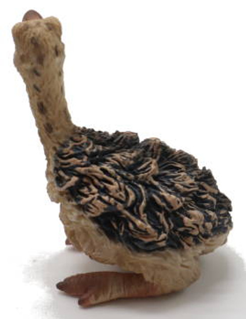 Ostrich Chick - Sitting (CollectA)