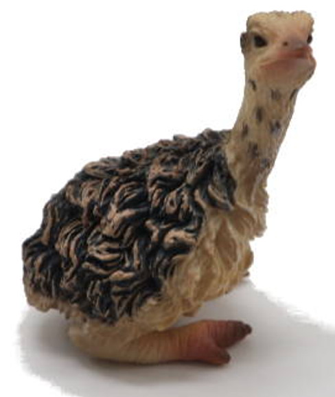 Ostrich Chick - Sitting (CollectA)