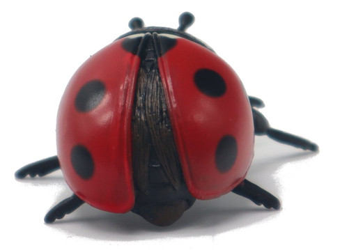 Ladybird (CollectA)