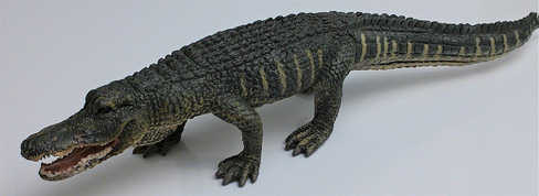 Alligator - American (CollectA)